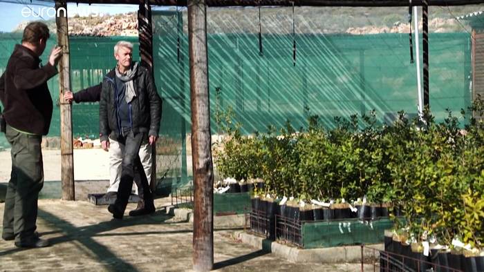 News video: Wie aus dem Périgord: Volker Miros züchtet Trüffel in Südafrika