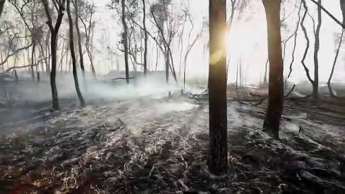 Video: Brasilien befürchtet Welle von Waldbränden