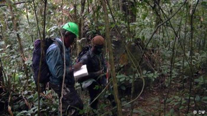 Video: Waldschutz in Kamerun: Wo Gorillas Freunde haben