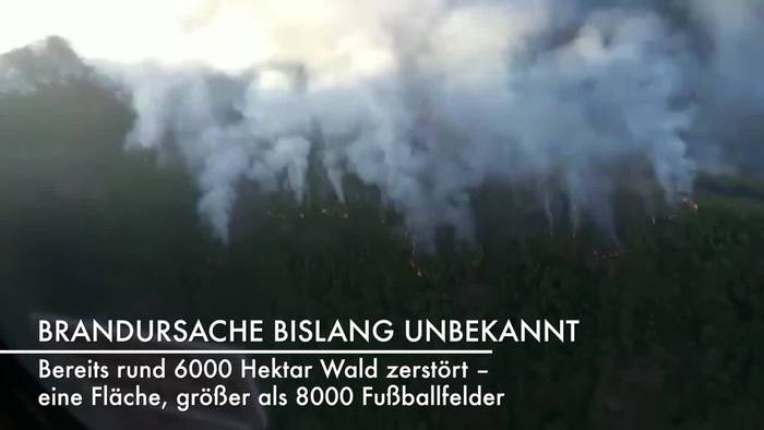 Video: 6000 Hektar zerstört - Waldbrand wütet in Südspanien