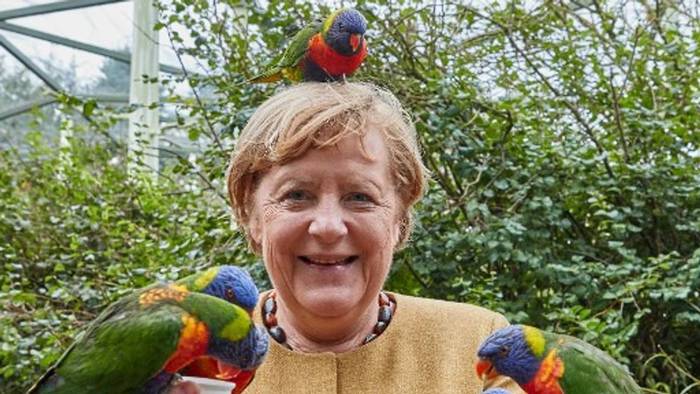 Video: Merkel im Vogelpark: So hat man die Bundeskanzlerin selten gesehen