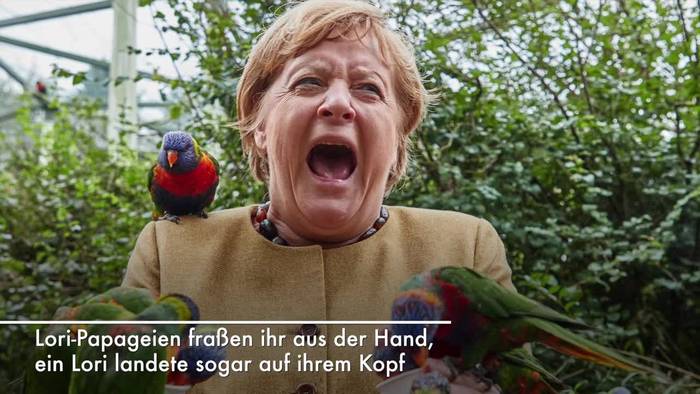 Video: Kanzlerin im Vogelpark: Nur beim Uhu sagt Merkel «Nein»
