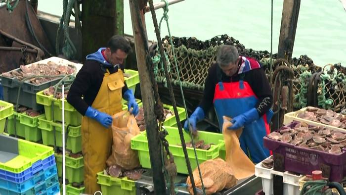 Video: Fischkrieg im Ärmelkanal