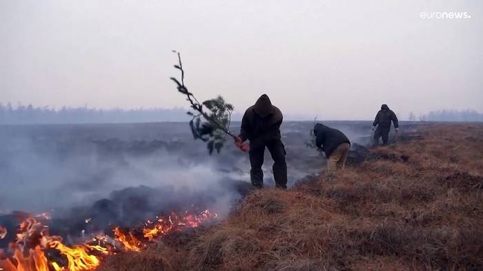 Video: Tundra in Russland: Mit Sand und Zweigen gegen brennendes Gras