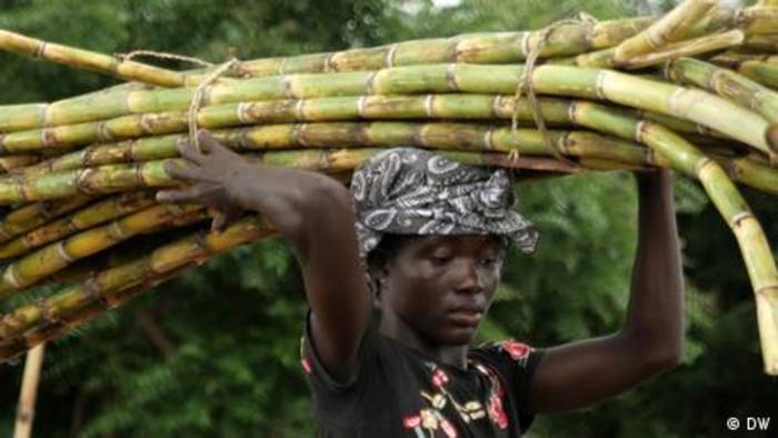 Video: Abfall als Ressource: Nachhaltiges Zuckerrohr in Ghana
