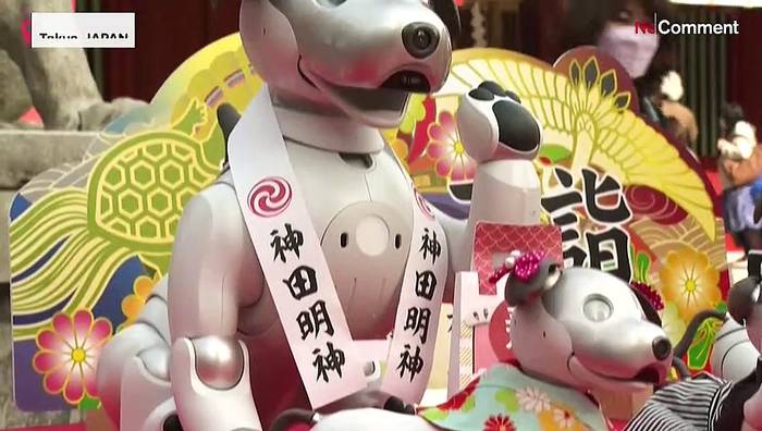 Video: Roboter-Hunde werden von Priester gesegnet