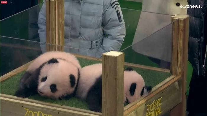 News video: Neugeborene Pandas: Kylian Mbappé steht als Taufpate Spalier