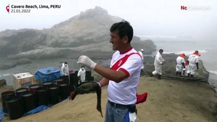 Video: Schwierige Mission an Limas Stränden: Freiwillige retten Tiere nach Ölpest
