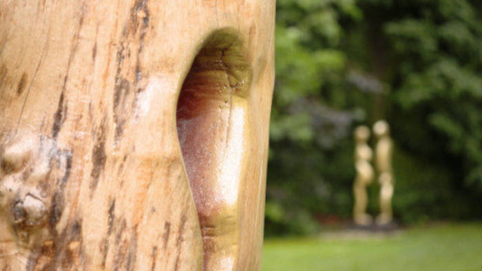Video: Wo aus Bäumen Kunst wird – Holzskulpturen aus Sachsen