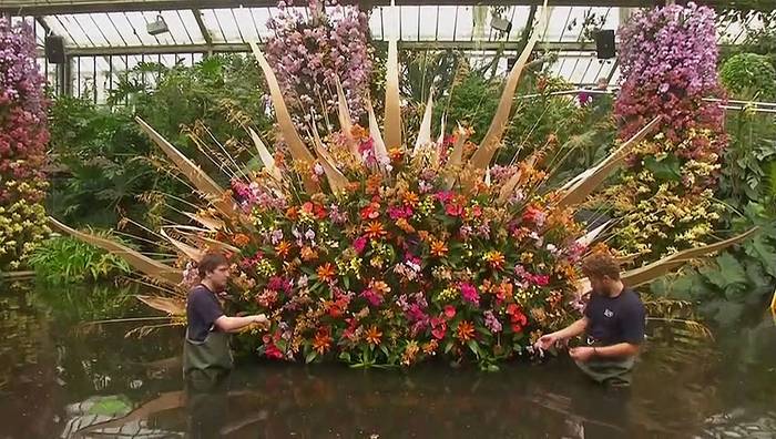 Video: Guarianthe Skinneri und andere Orchideen-Stars in Kew Gardens