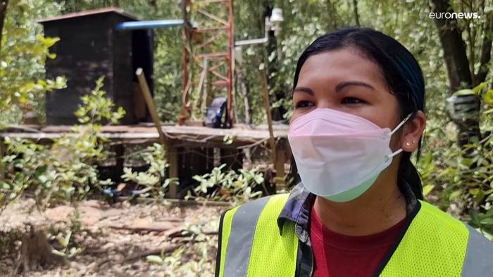Video: Plastik, Reifen und Schuhsohlen: Der Müll bedroht Panamas Mangrovenwälder