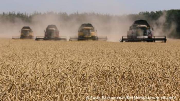 Video: Teurer Weizen: Ernährungssicherheit in Gefahr