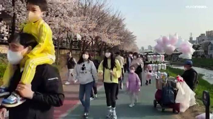 Video: Seoul: Blütenträume vom 