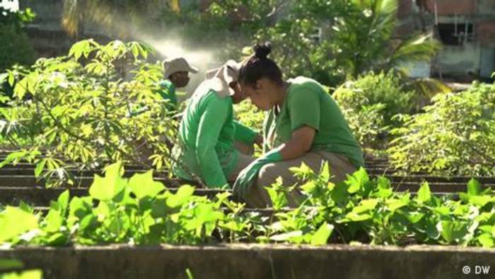 Video: Brasilien: Gärtnern für ein besseres Leben