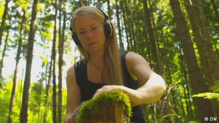 Video: Die musikalische Seite der Natur