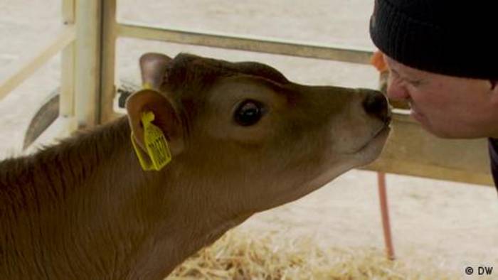 Video: Klimafreundliche Kühe aus Großbritannien