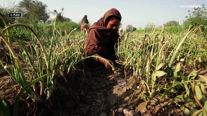 News video: FAO-Report: Hunderttausende Hungertote möglich - Globalisierung zurückdrehen