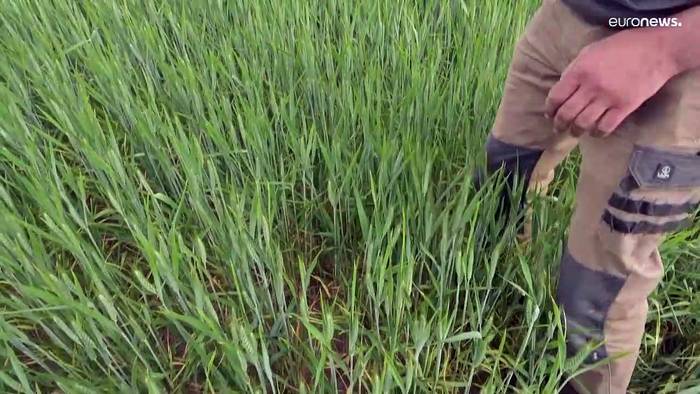 Video: Dürre in Frankreich: Geht Landwirten im August das Wasser aus?