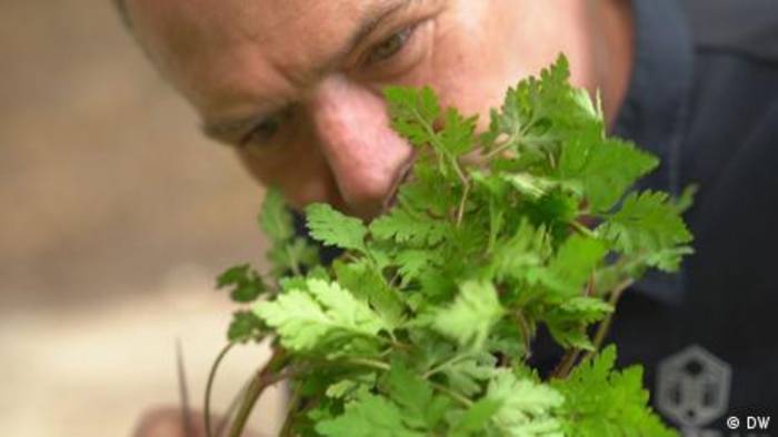 Video: Das beste Gemüserestaurant der Welt