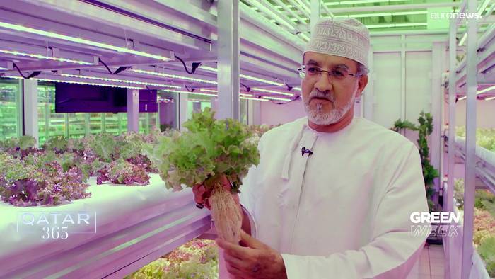Video: Katars Landwirtschaft ist innovativ und nachhaltig