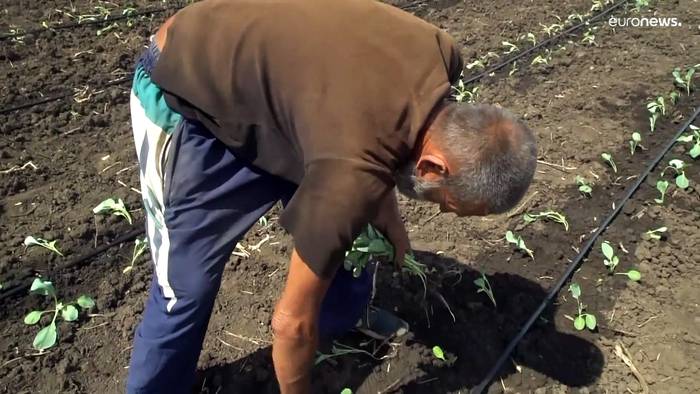 News video: Trotz Krieg arbeiten ukrainische Bauern auf ihren Feldern weiter