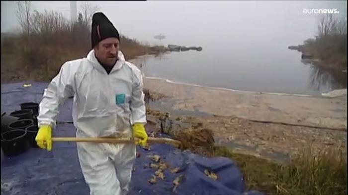 News video: Bei dem Ölleck vor der Küste Schwedens handelt es sich um Kienöl