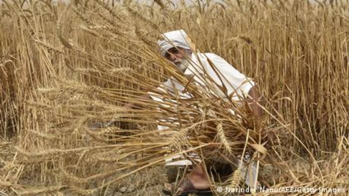News video: Indiens Weizen-Exportstopp und die Wut der Bauern
