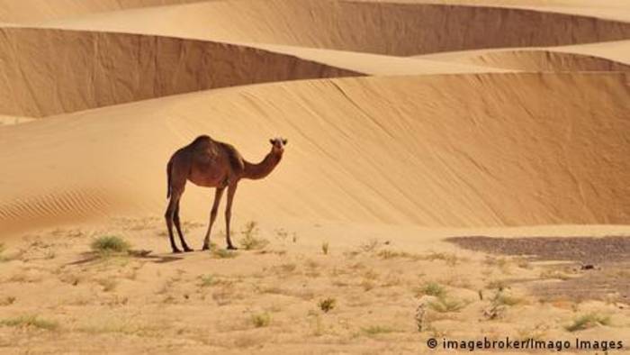 News video: Wie entstehen die Wüsten?