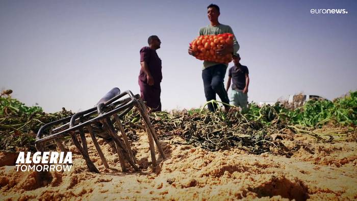 Video: Algeriens moderne Landwirtschaft erobert die Wüste