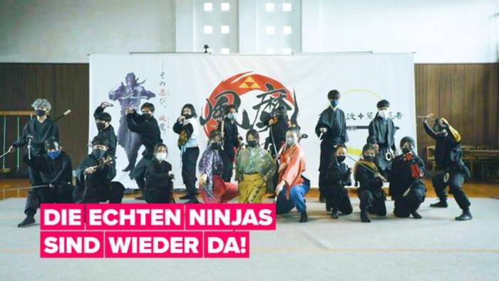 Video: Die Ninjas sind zurück!