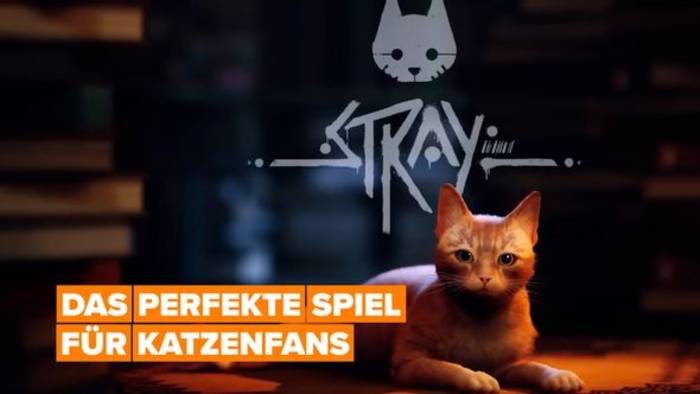 Video: „Stray“: das perfekte Spiel für Katzenliebhaber