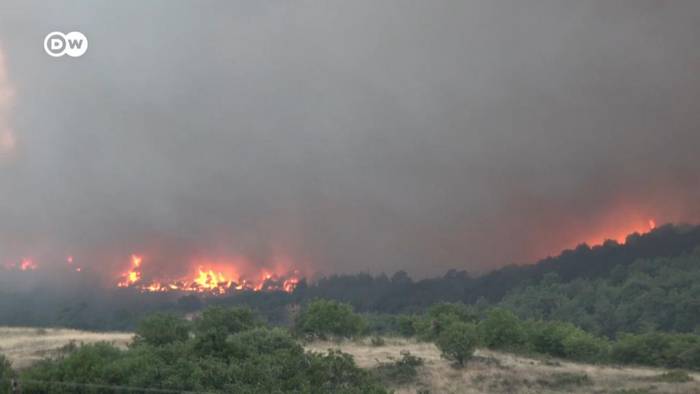 Video: Waldbrände in Griechenland: Kein Brandschutz ohne die Lokalbevölkerung