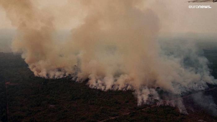 Video: Brasilien: Satellit meldet mehr Waldbrände im Amazonas