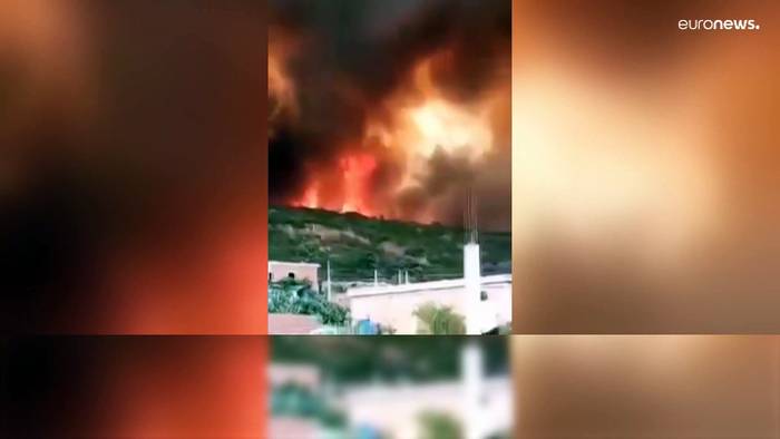 Video: Waldbrände wüten in Algerien: 26 Menschen wurden Opfer der Flammen