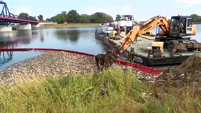 Video: Fischsterben in der Oder: Polen wirft Deutschland 