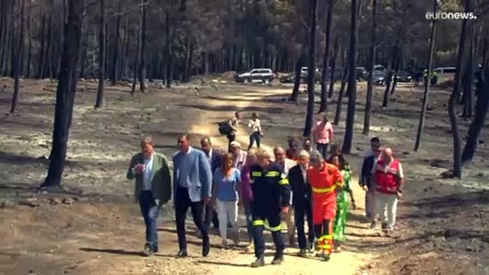 Video: Riesige Aschefelder: 223 000 Hektar Land in Spanien verbrannt