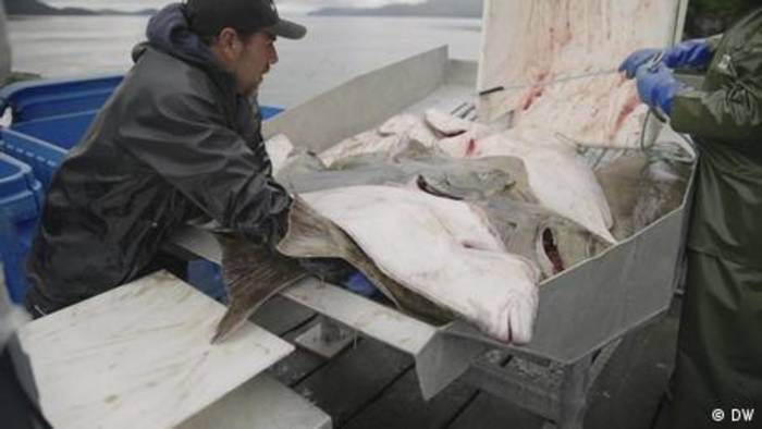 Video: Chancen für Alaskas Fischer – Sanktionen gegen Russland