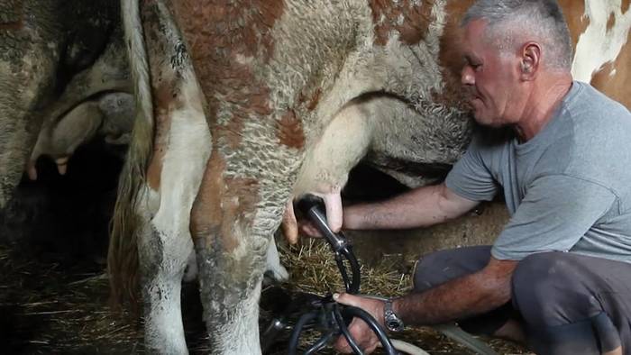 News video: Milchkrise in Serbien: Leere Regale und unzufriedene Bauern