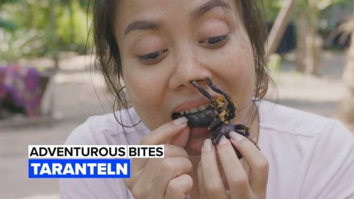 Video: Adventurous bites: Taranteln