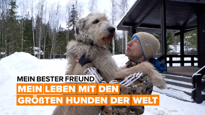 Video: Mein bester Freund: der größte Hund der Welt