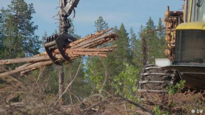 Video: Schweden und der #COP27 – Klimaschützer rügen Holzlobby