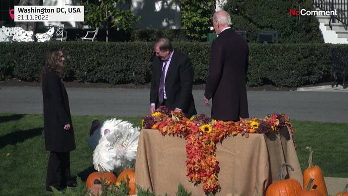 Video: Thanksgiving: Biden begnadigt 50-Pfund-Truthähne Chocolate und Chip