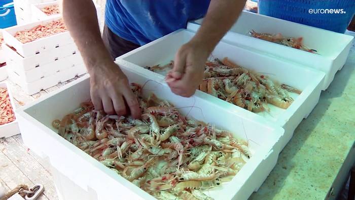 Video: Krabbenfischer: Kutter umrüsten, sonst...