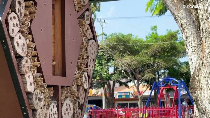 News video: Bienenhotel in Costa Rica: Artenschutz in bester Lage