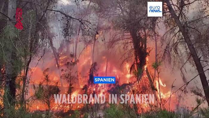 Video: Erster großer Waldbrand des Jahres in Spanien