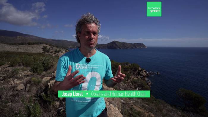 Video: Unternehmen wir genug für den Schutz der Ozeane?
