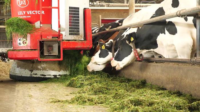 Video: Hightech-Bauernhof: Automatisierung macht Bauern und Kühe glücklich