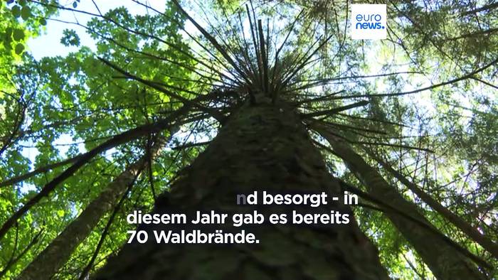 Video: Dürre bedroht Ernten und Wälder: Höchste Warnstufe in Litauen und Polen