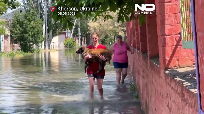 Video: Dammbruch-Chaos: Hochwasser verwirrt Haus- und Nutztiere