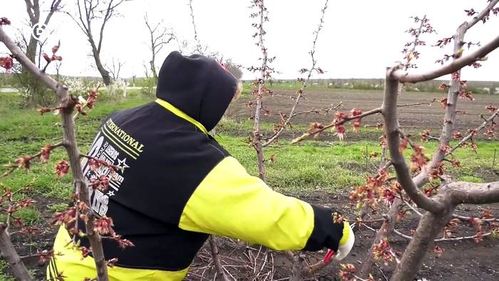 Video: Moldau – der lange Weg zur Marktwirtschaft